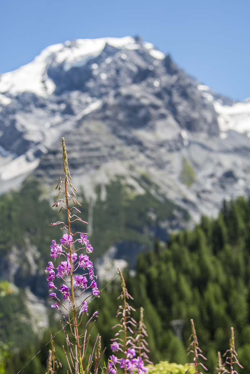 Südtirol.jpg