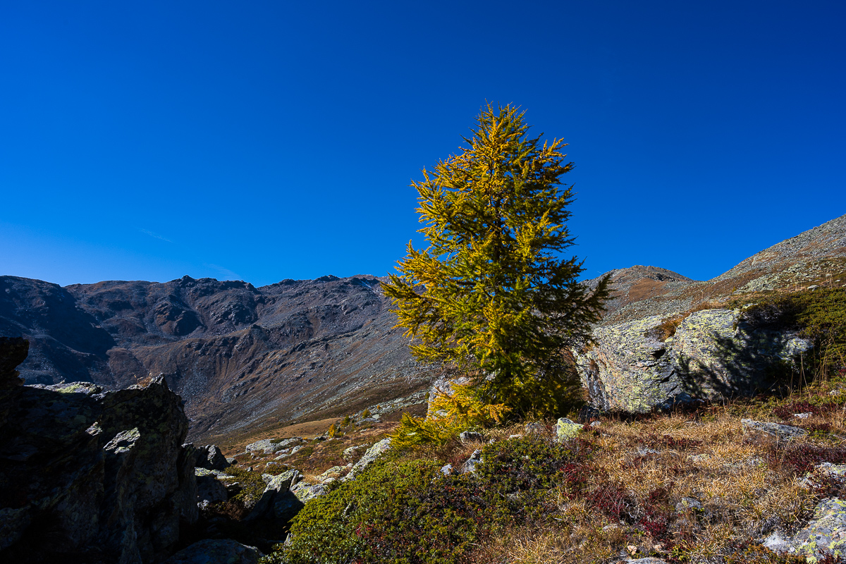 Südtirol Oktober-2580.jpg