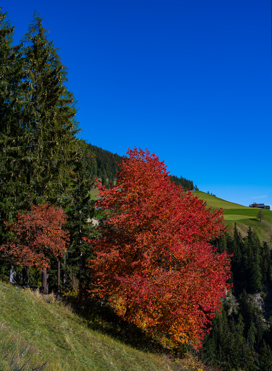 Südtirol Oktober-2652.jpg