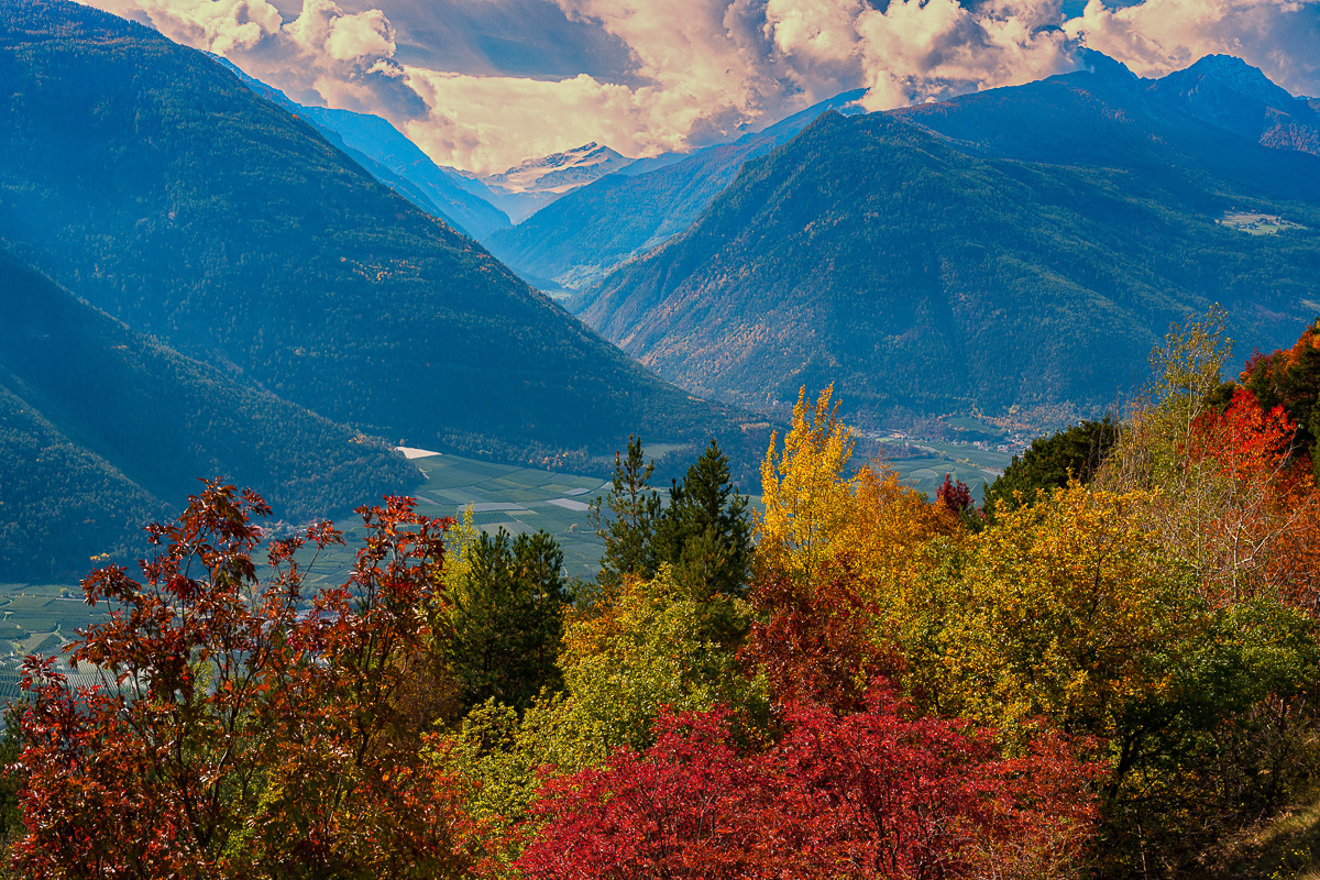 Südtirol Oktober-2692-Bearbeitet-2.jpg