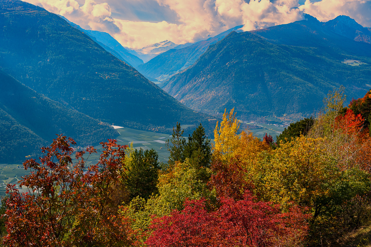 Südtirol Oktober-2692-Bearbeitet.jpg