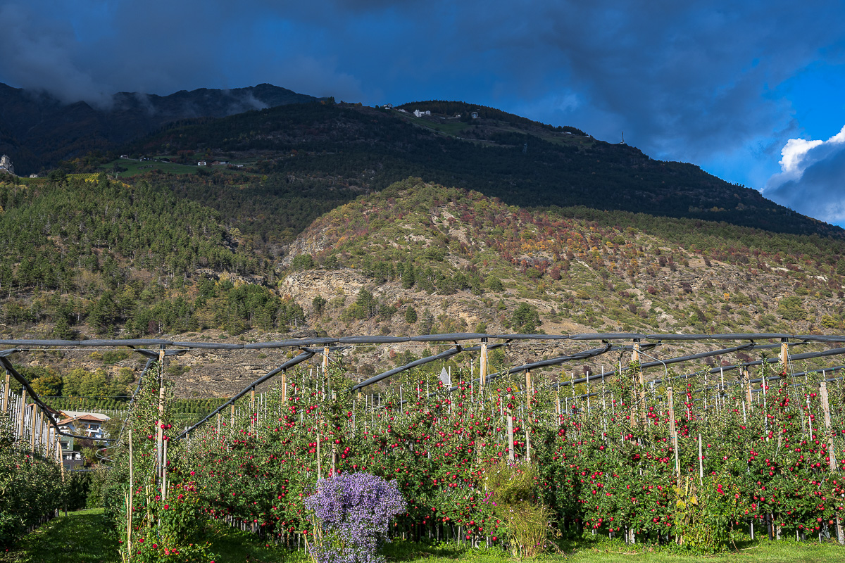 Südtirol Oktober-2720.jpg