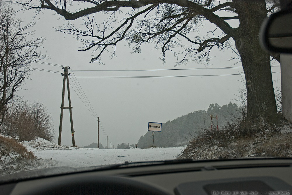 s DSC 0355 lzn