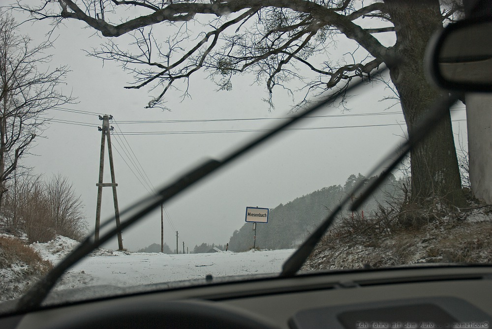 s DSC 0356