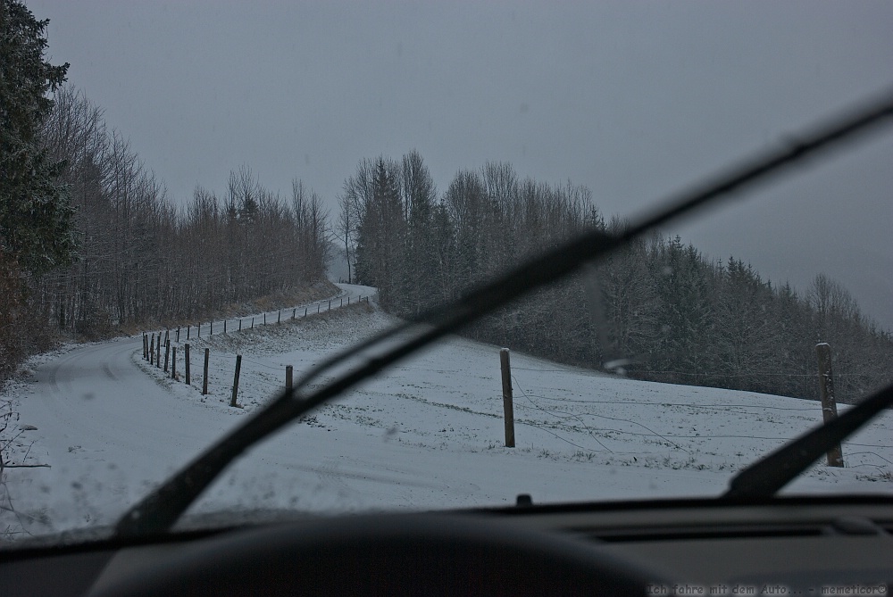 s DSC 0559