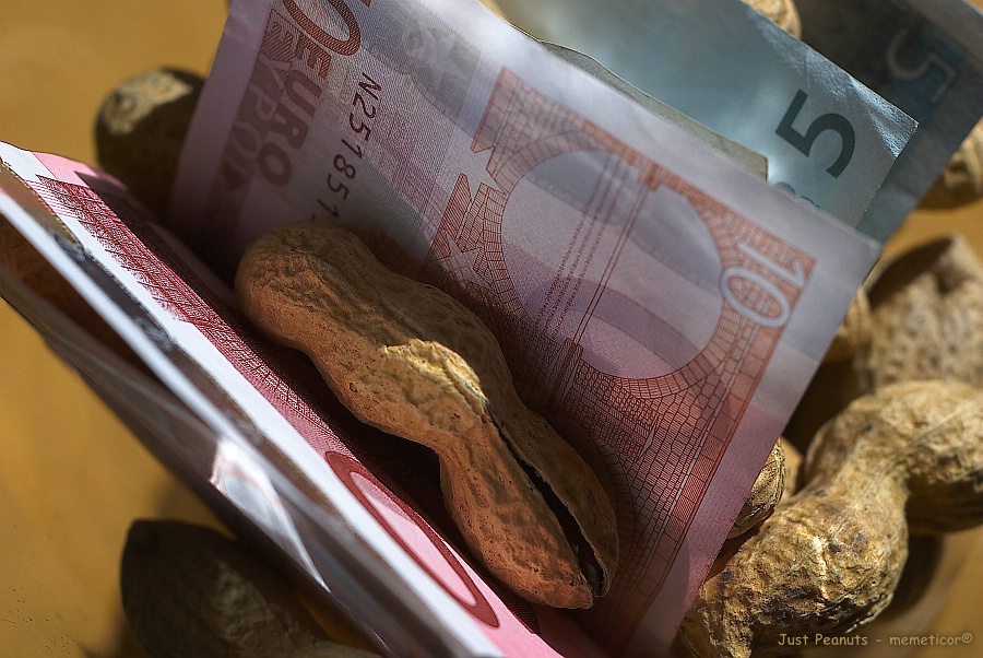 s DSC 0628 lzn