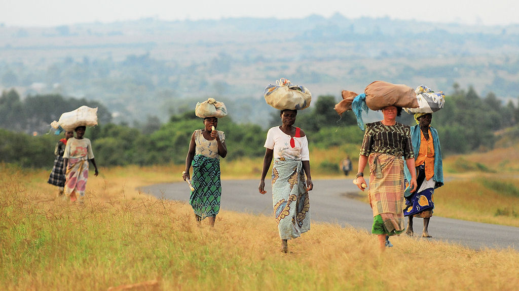 s141 Frauen 7582
Frauen tragen in Afrika schwere Lasten