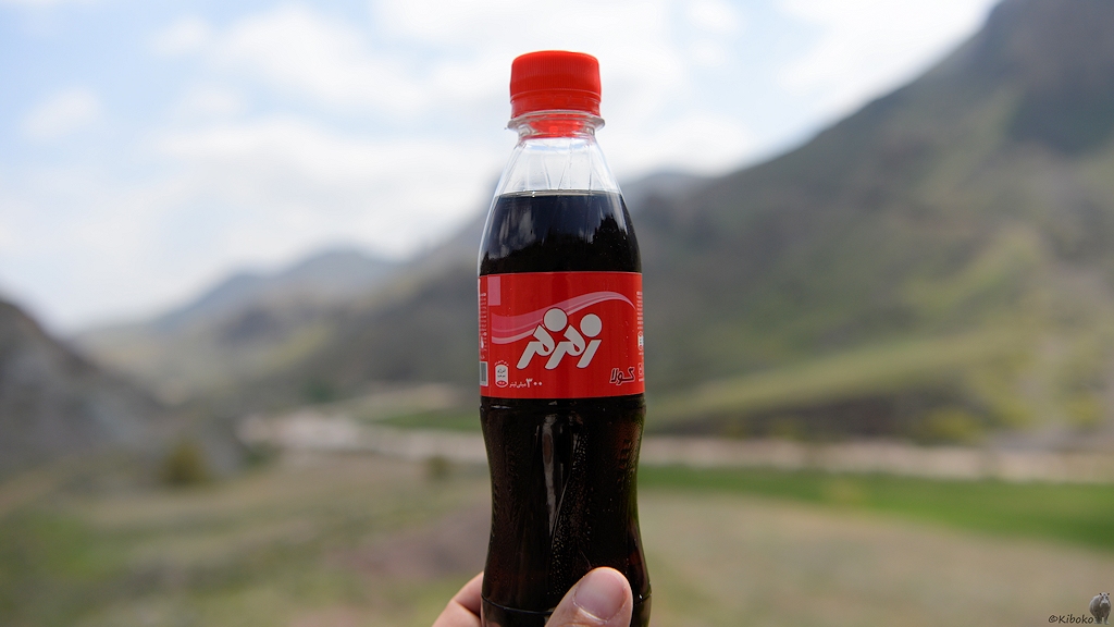 s145 Sheykhsafi Pipi Cola 8481