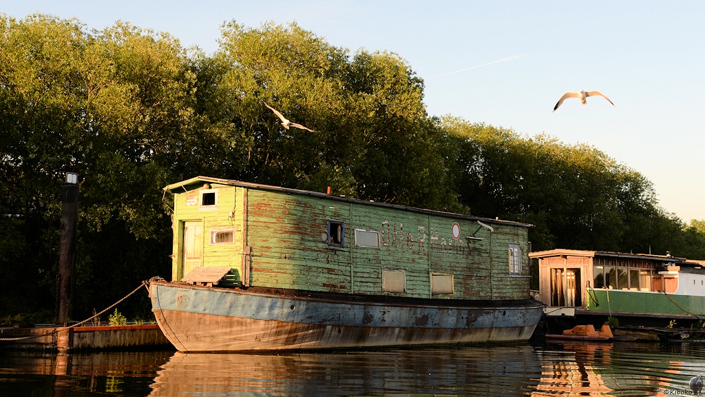 s170614 035 HH Hausboot 5654