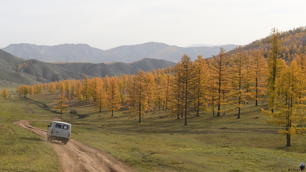 s523 UAZ Lärchen 2276