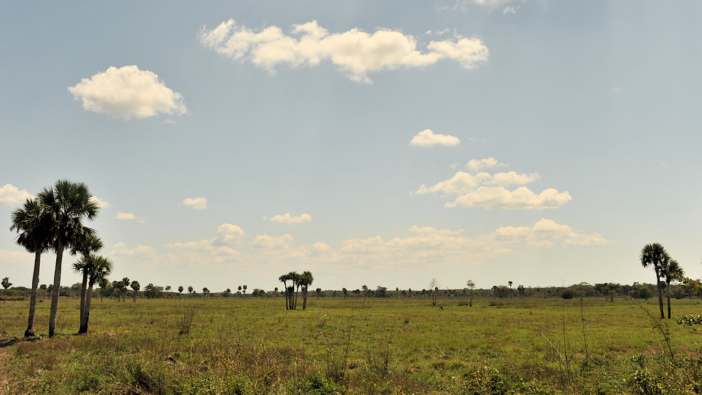s536 Blick in den Nationalpark Ciénaga de Zapata
6600