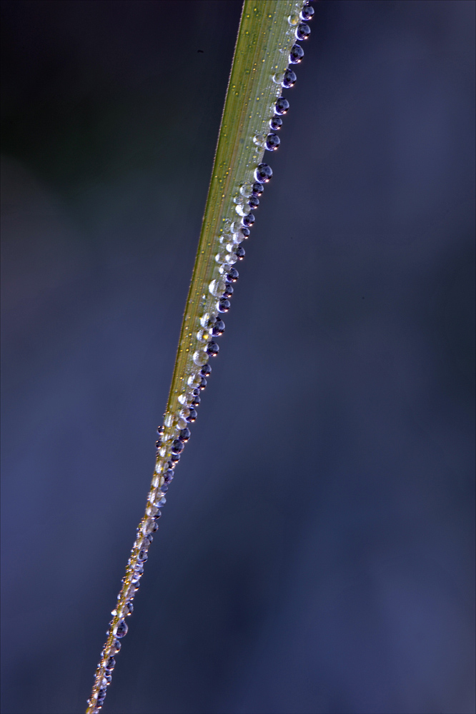 S8408n