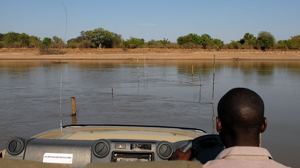 s925 Luangwa 3258