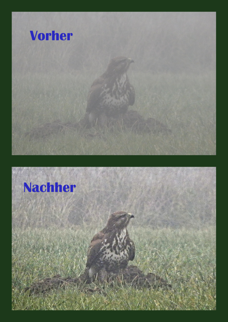 S9900.jpg