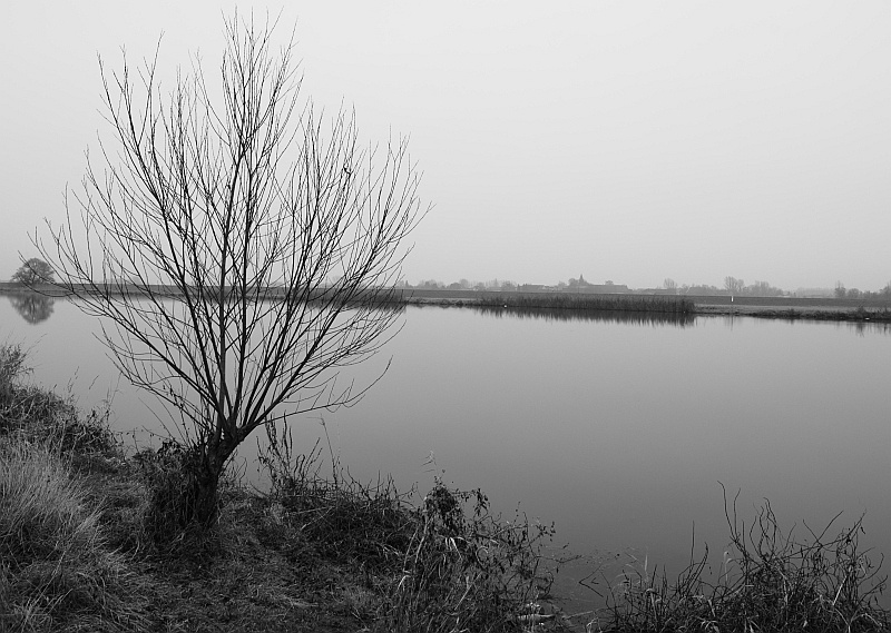Saale
