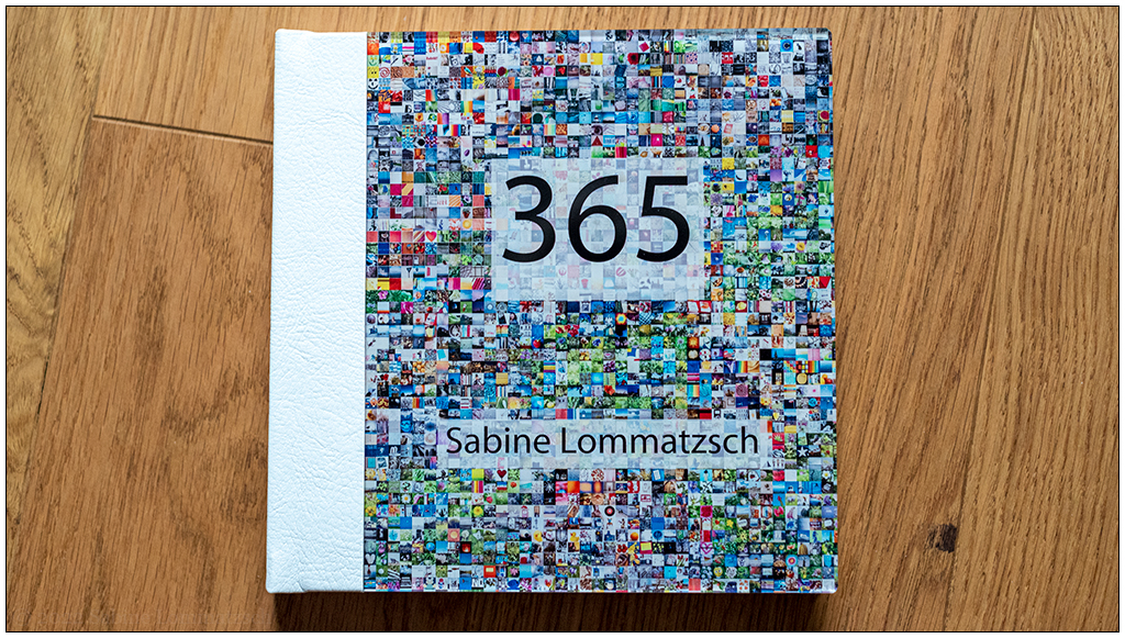 Sabine_Lommatzsch_20220929_365_Fotobuch_02_Cover_Acryl.jpg