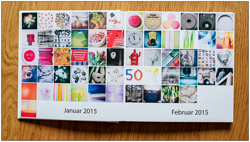 Sabine_Lommatzsch_20220929_365_Fotobuch_06_Doppelseite_Monatsmosaik_2015.jpg