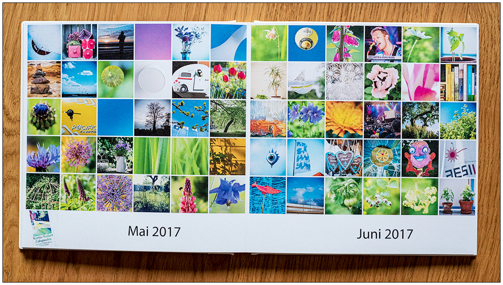 Sabine_Lommatzsch_20220929_365_Fotobuch_10_Doppelseite_Monatsmosaik_2017.jpg