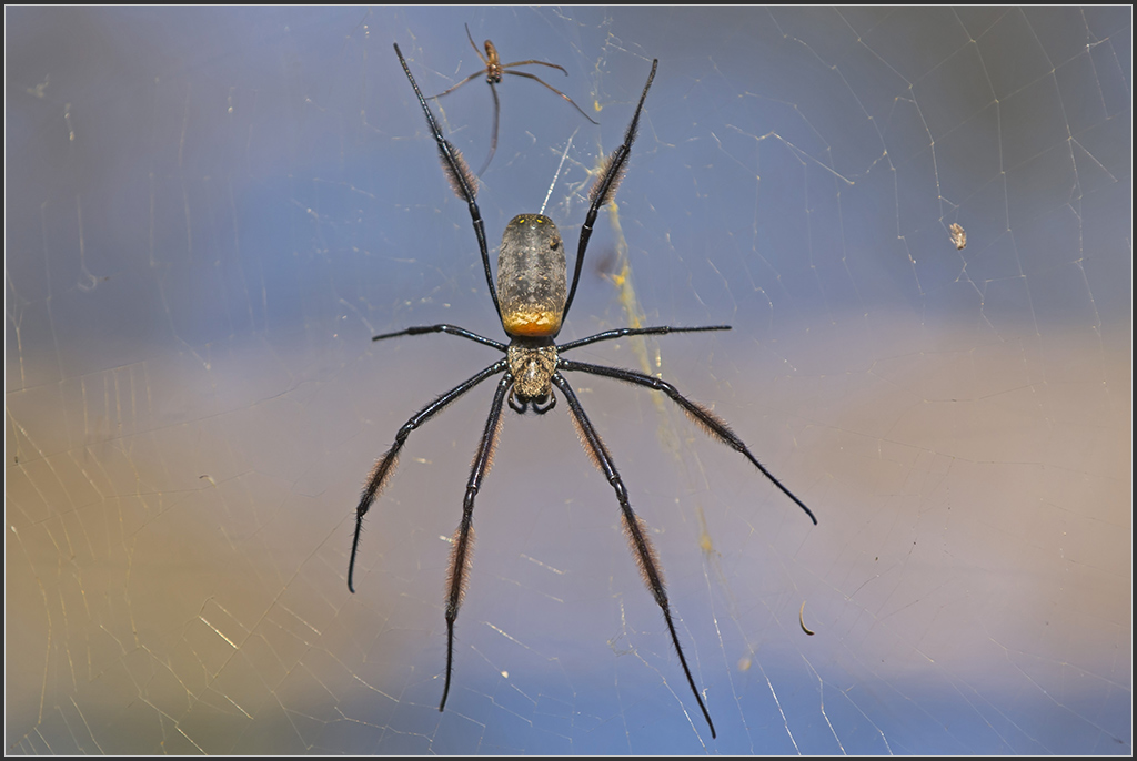Sambia 0041