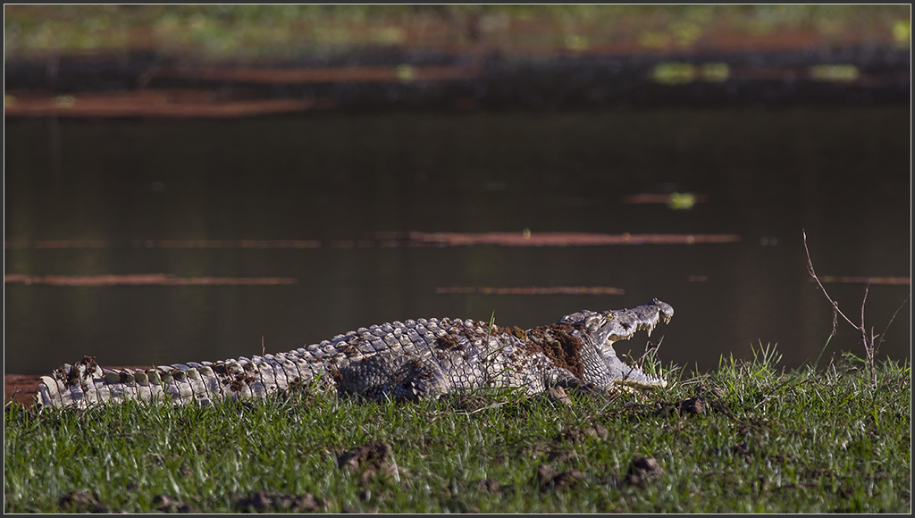 Sambia 0291