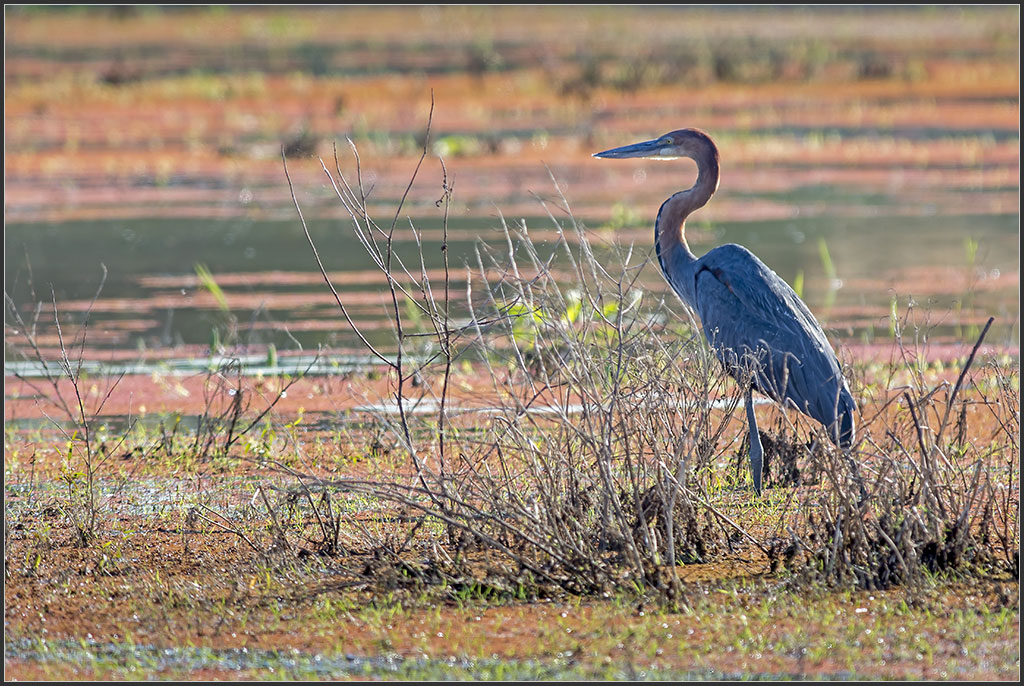 Sambia 0322