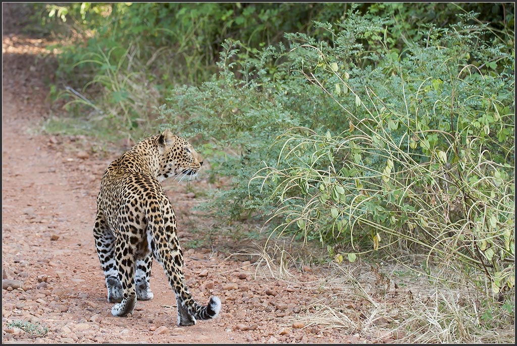Sambia 0621