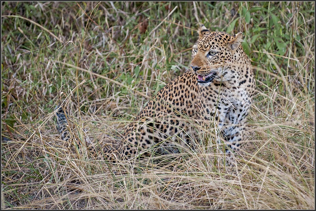 Sambia 0666