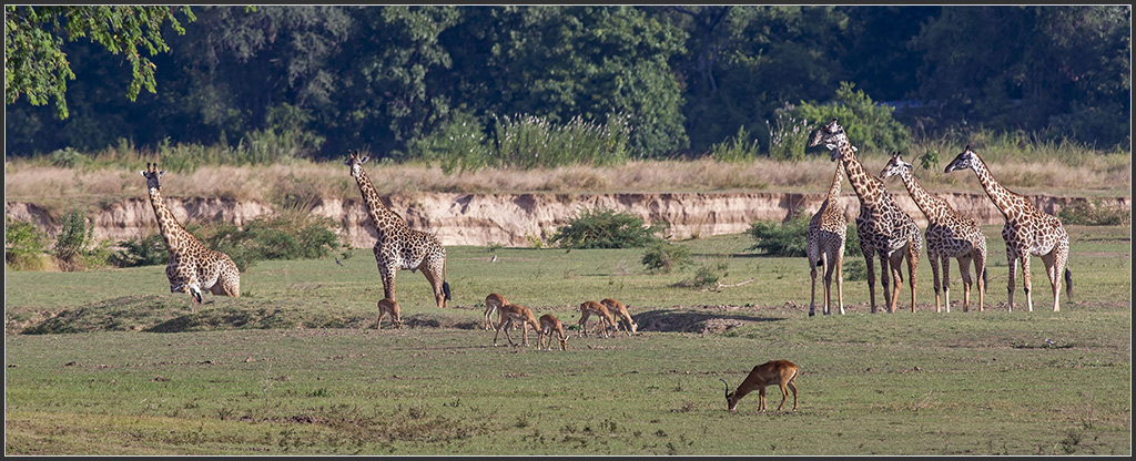 Sambia 1392
