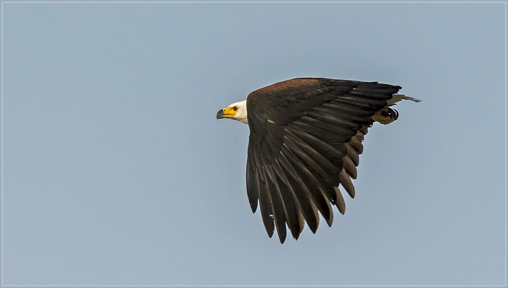 Sambia 3001