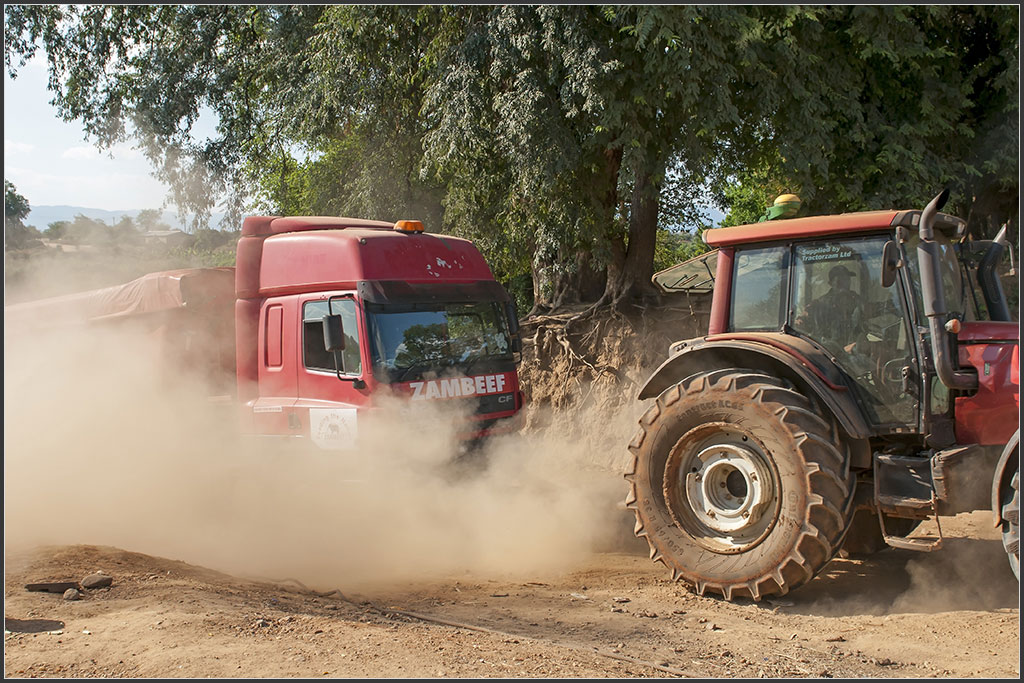 Sambia 3125