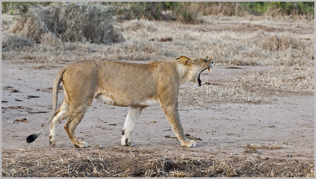 Sambia 3407