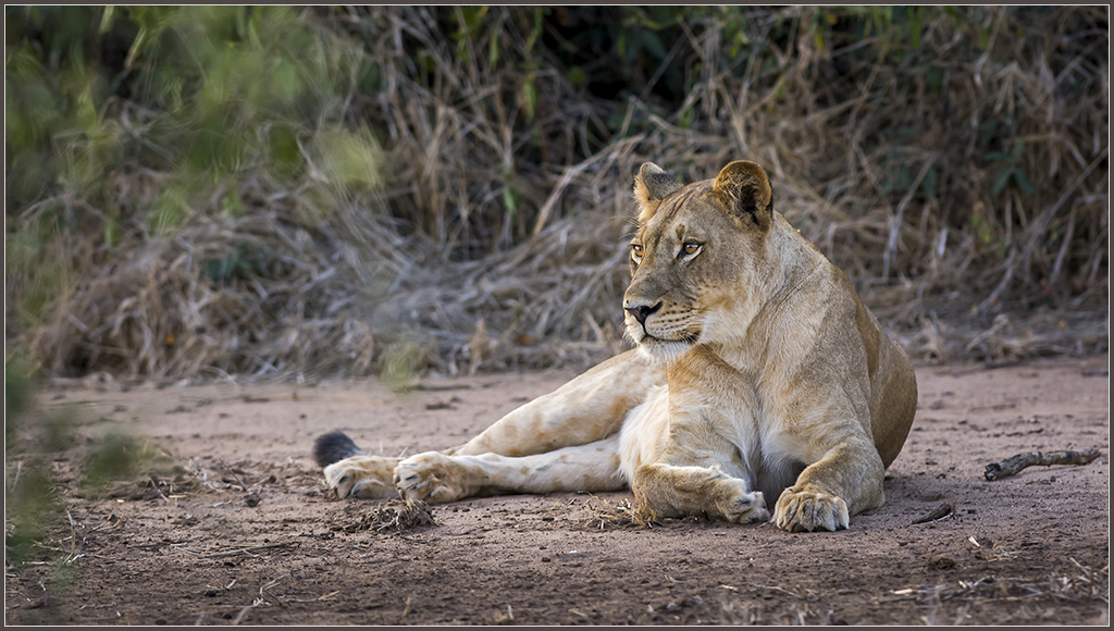 Sambia 3424