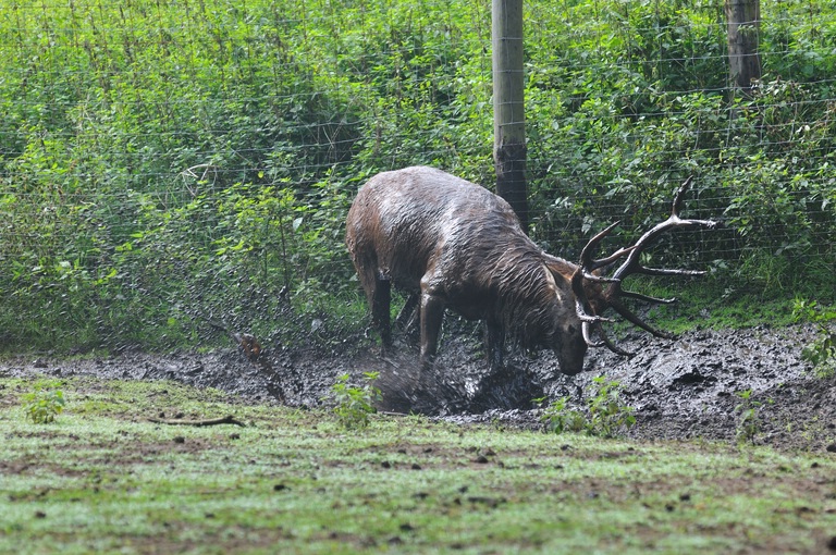 Samstag ist Badetag.

comp DSC 6300

D300, AF-D 2,8/ 80-200, F5,6, 1/200s, ISO 200, Monopod