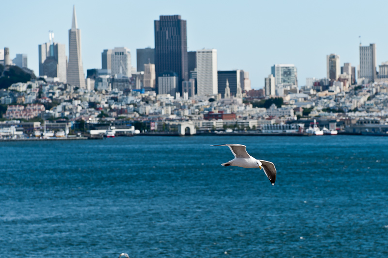 San Francisco - Alcatraz