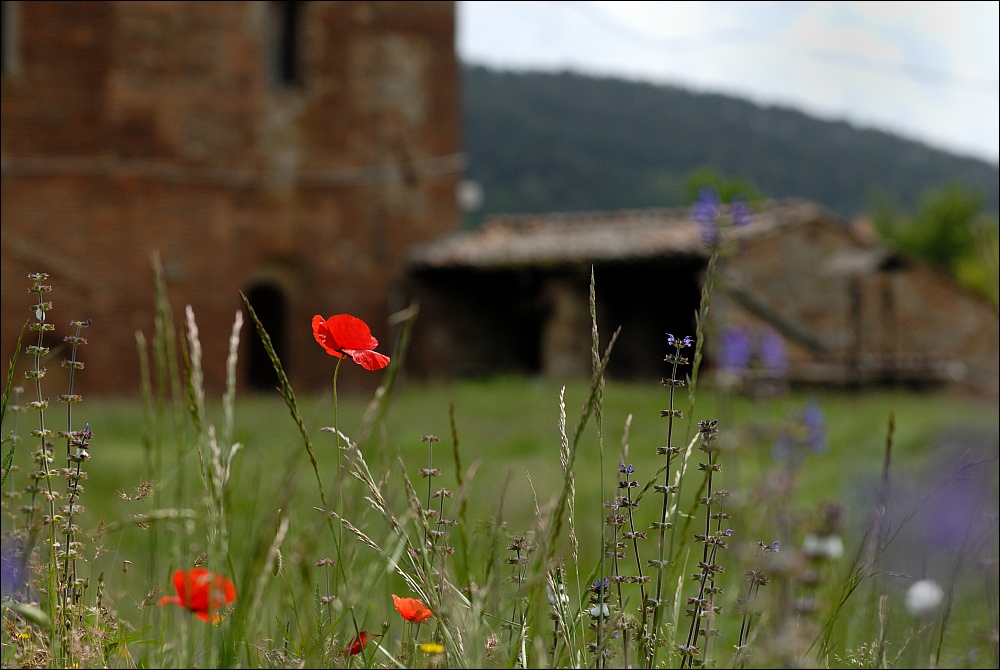 San Galgano