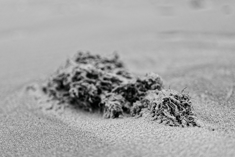 Sandverwehung