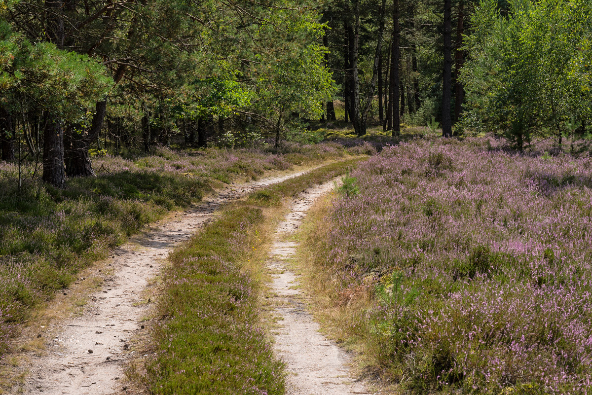 Sandweg (1 von 1).JPG