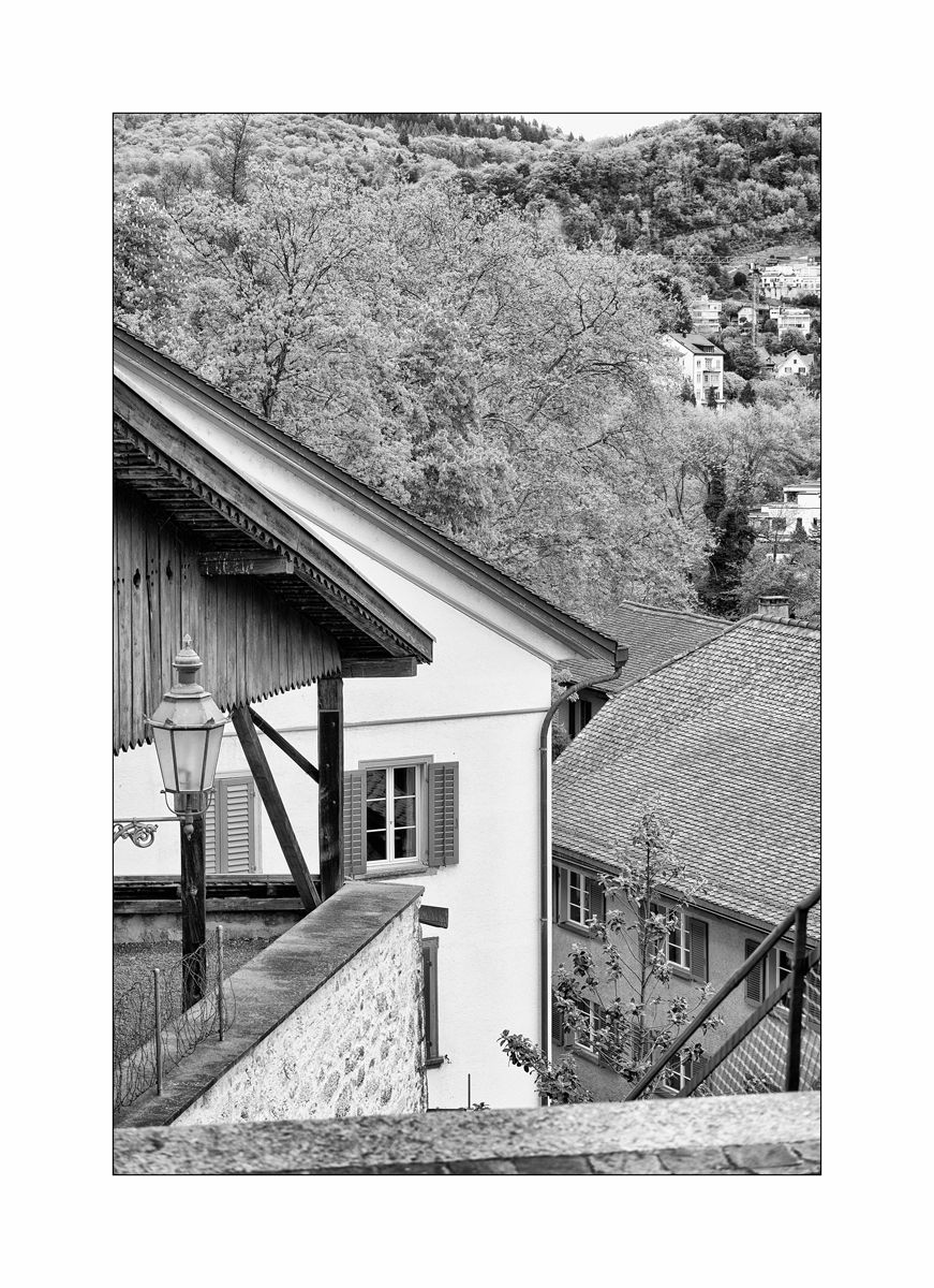 SasaDSC_0194.jpg