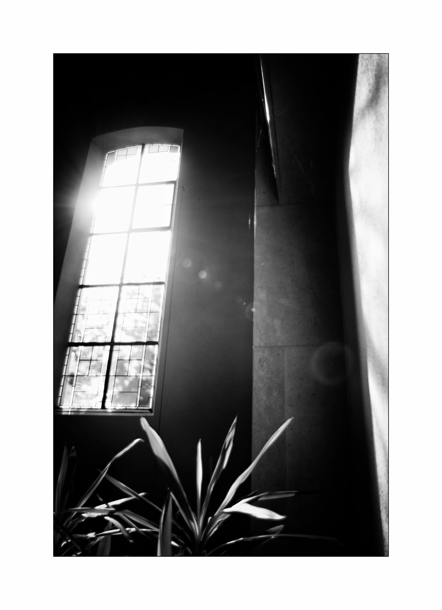 SasaDSC_0880.jpg