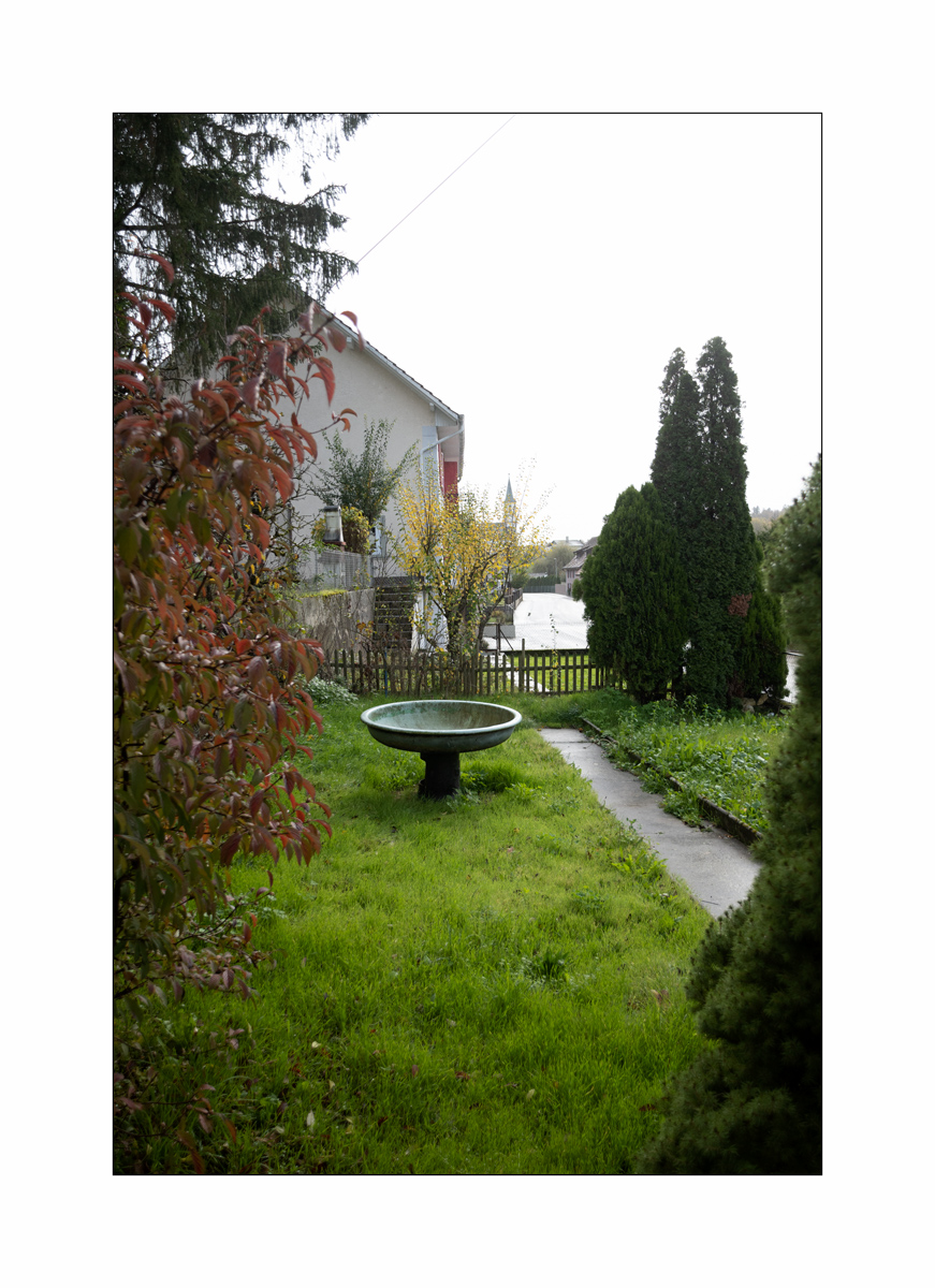 SasaDSC_1120.jpg