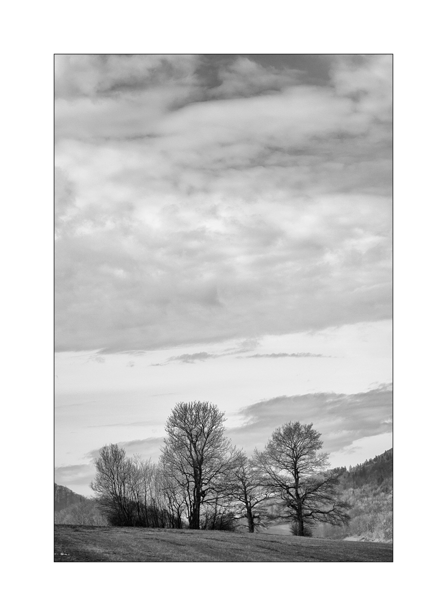 SasaDSC_1667.jpg