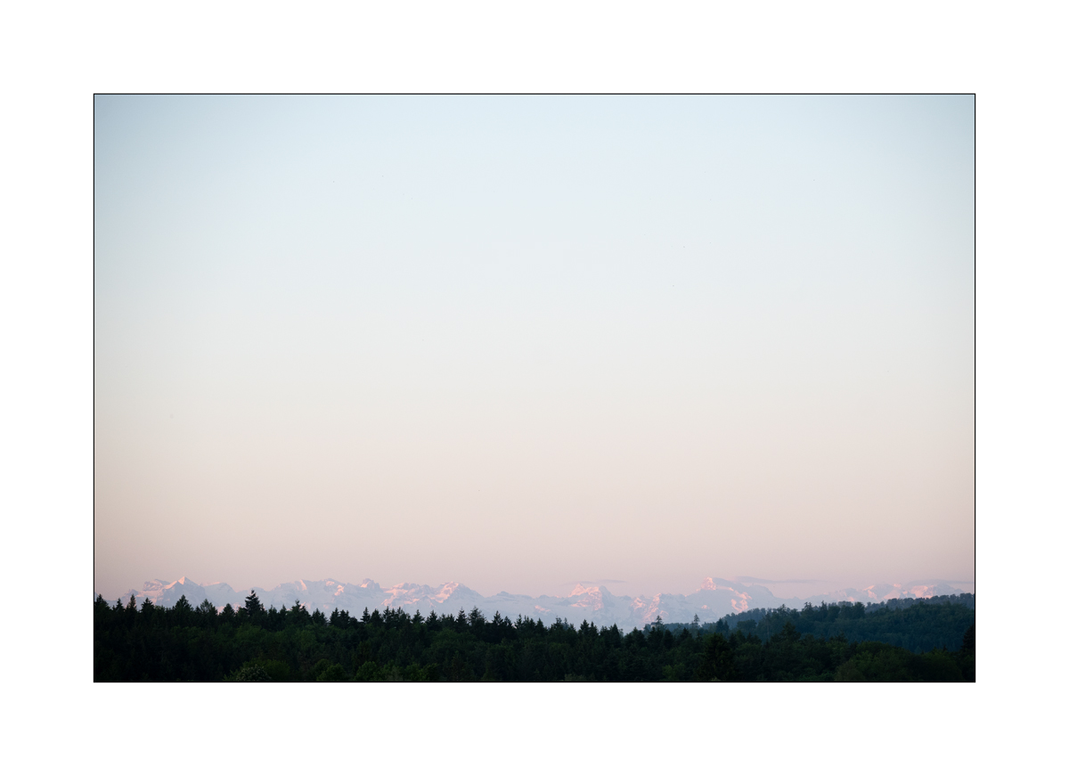 SasaDSC_2214.jpg