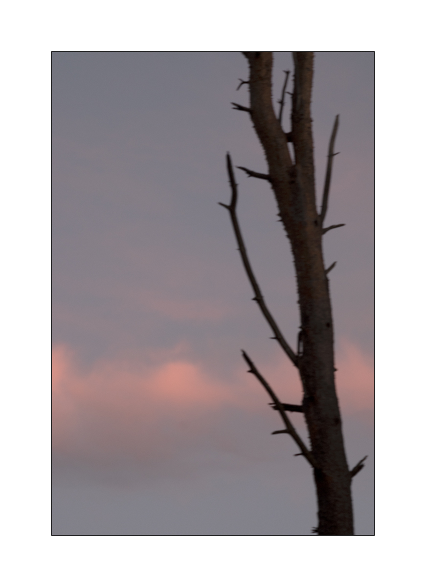 SasaDSC_2541.jpg