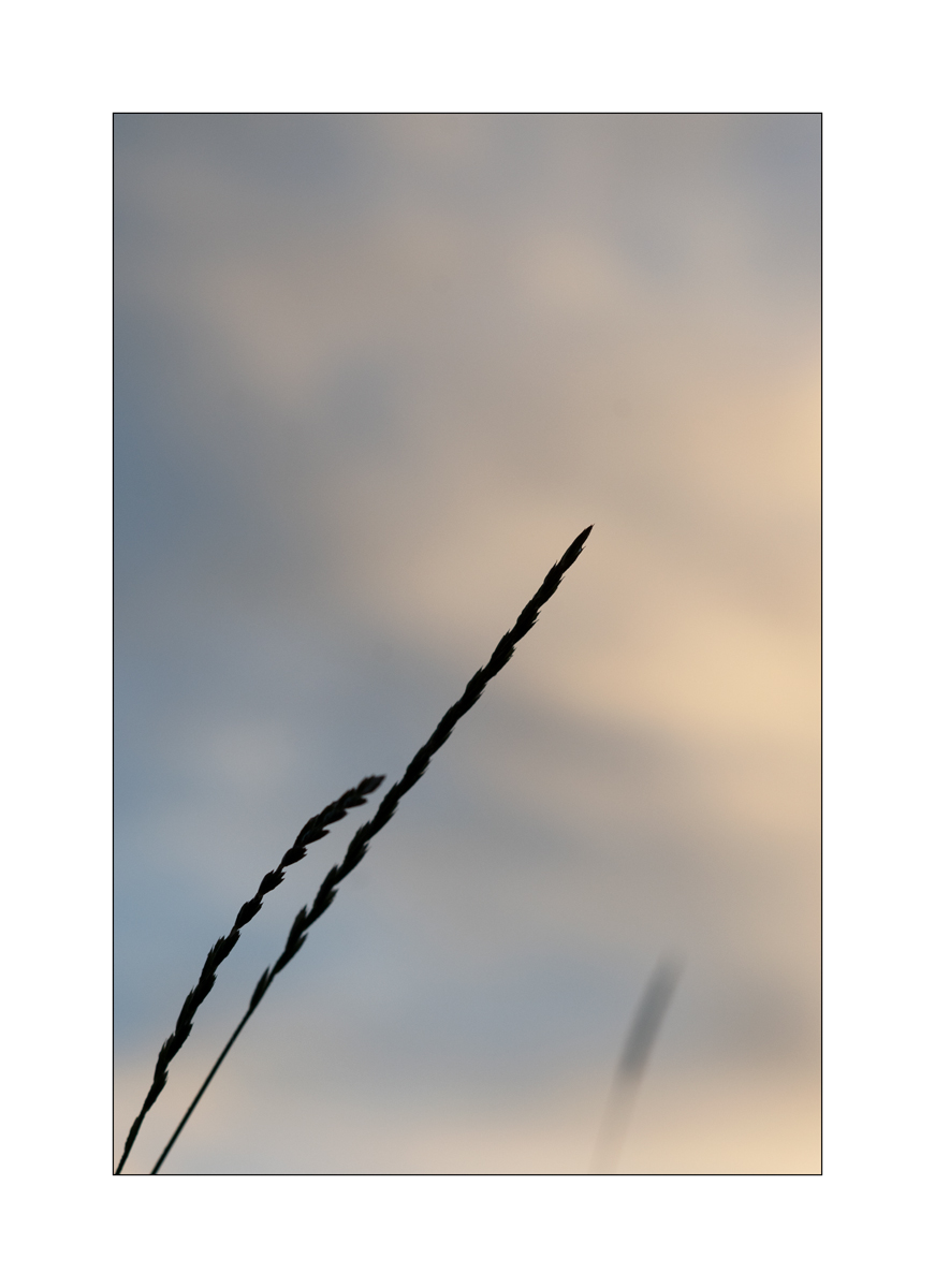SasaDSC_2550.jpg