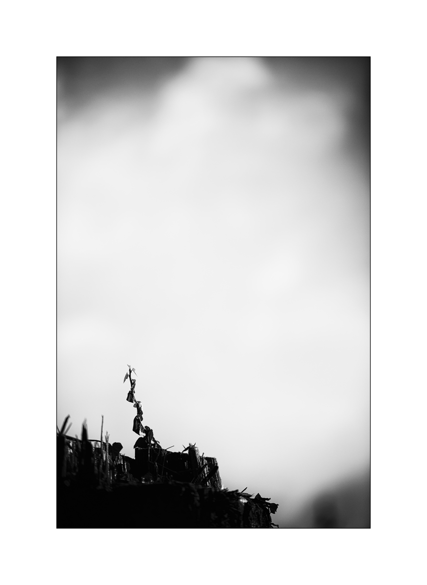 SasaDSC_3342.jpg