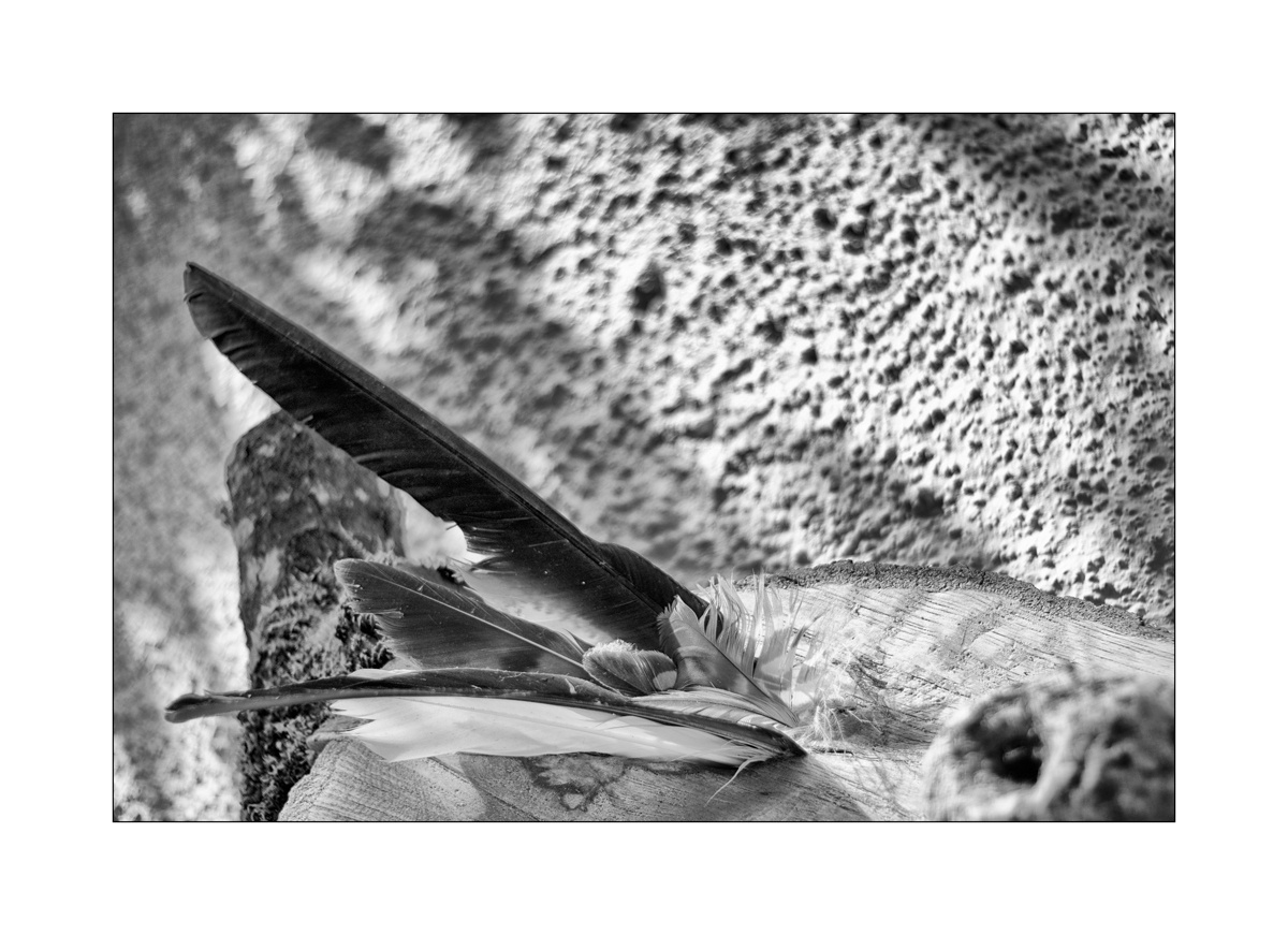 SasaDSC_3800.jpg