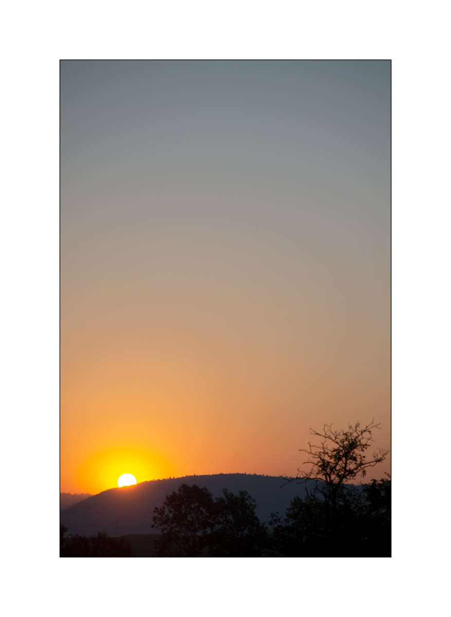 SasaDSC_4315.jpg