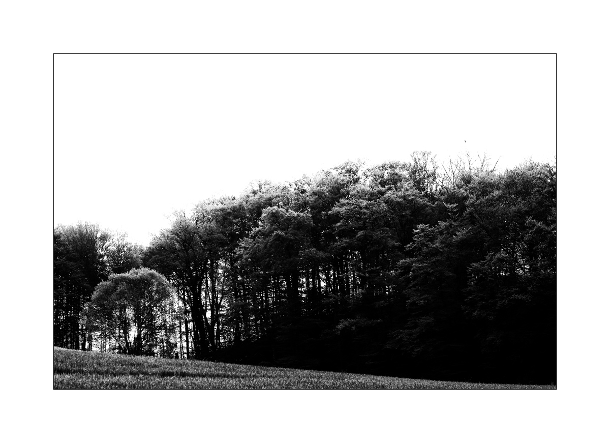 SasaDSC_4639.jpg