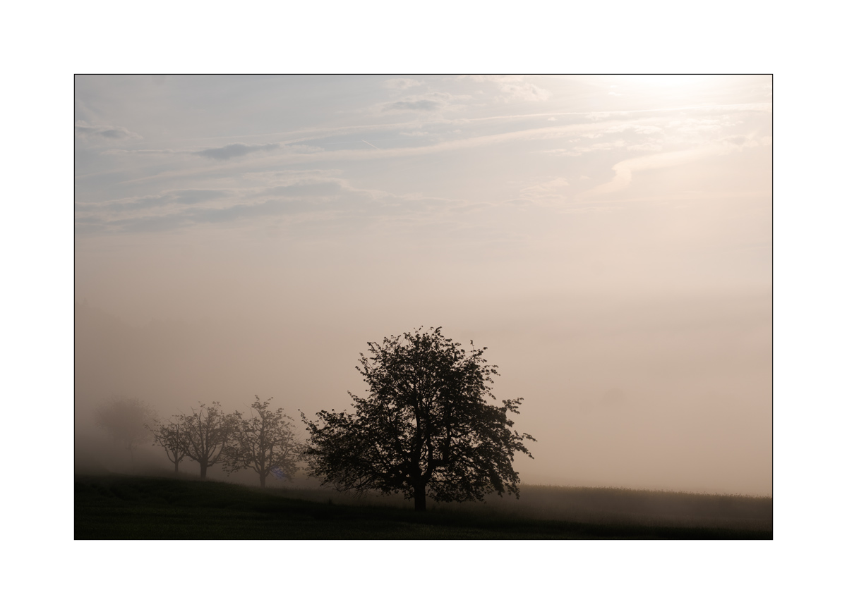 SasaDSC_4654.jpg