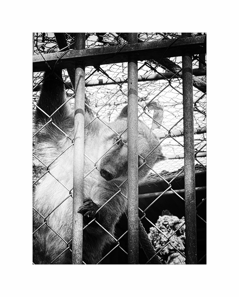 SasaIMG_2475.jpg